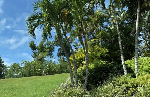 Candelero Abajo Condo | Maralago Palmas Del Mar - Slice of Paradise