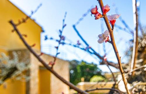 Livorno Villa | Marelì - magnifica villa con piscina