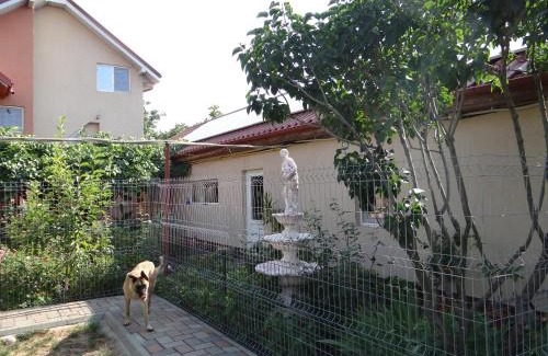 Mangalia House | Maria-Antonia