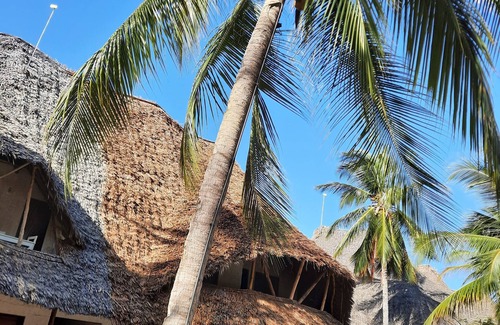 Malindi Marine National Park Cottage | MARIA, the Star⭐ on the sea beach cottages (MALINDI - KENYA). cottage -SISTERS