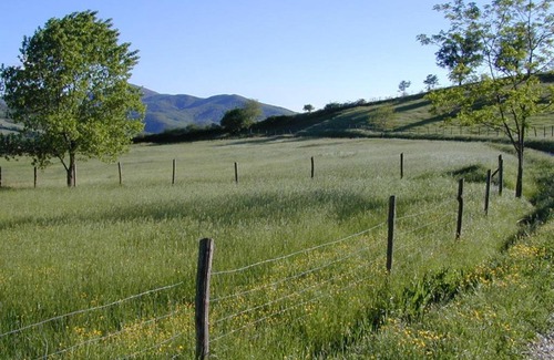 Umbertide House | Maridiana Alpaca Country House