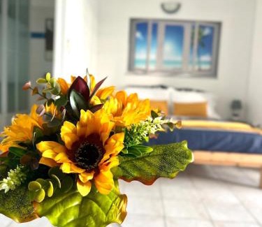 Le Marin Apartment | Marina Sun Tropic