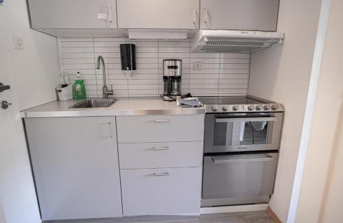 Borgund Apartment | Maristova apartment 110