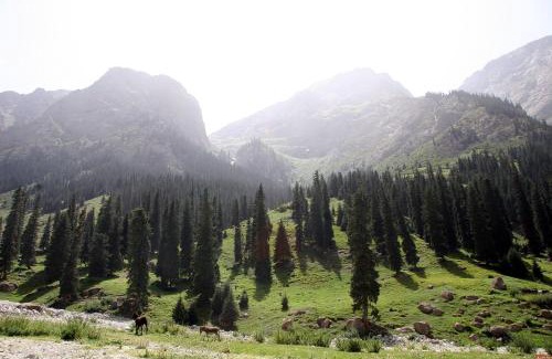 Ak-Talaa District House | Mariyam Guest House
