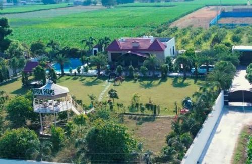 Jalandhar Villa | Marok Farm