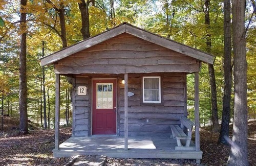 Helmsburg Cabin | "Martin" Camping Cabin #12 | Pet Friendly