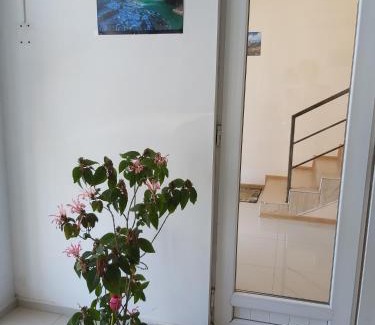 Martivili Hotel | Martvili Newhotel