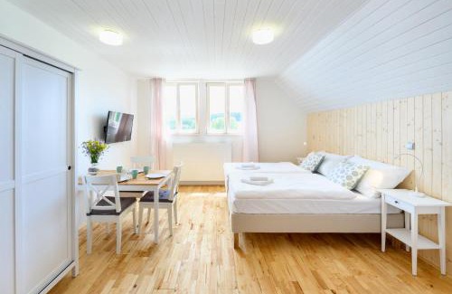 Predni Vyton Apartment | Marvelous lake view apartments - Jezerka Lipno