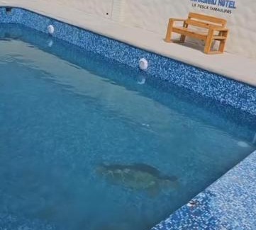 La Pesca Hotel | MARYAND