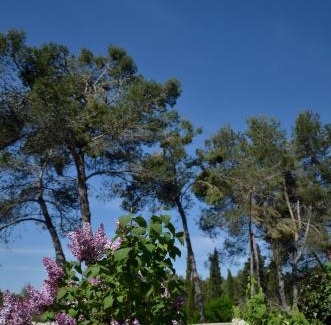 Assas House | Mas du Puech Cymbale