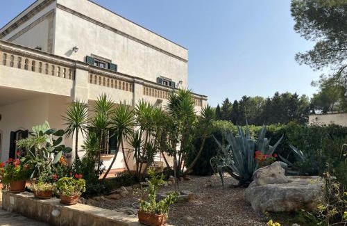 Sava Apartment | Masseria La Camardia