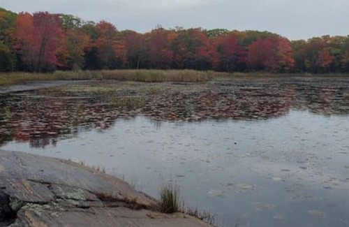 The Archipelago Cabin | McLaren Island Vacation Cottage