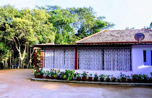 Koppa House | Meadow Muse