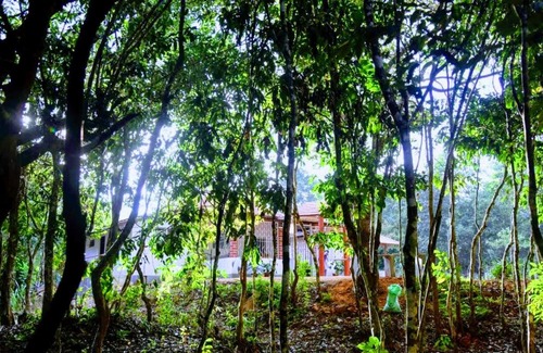 Koppa House | Meadow Muse