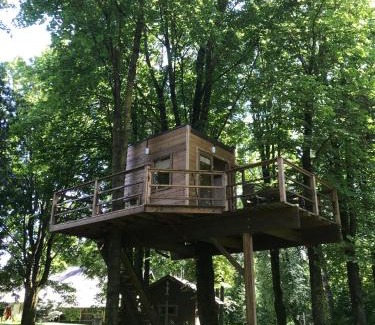 Gatauciai House | Medže Dirbtuve