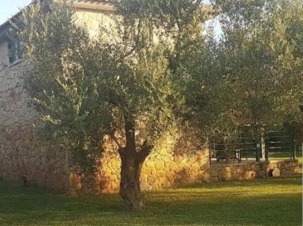 Marathopoli House | Megalos kampos