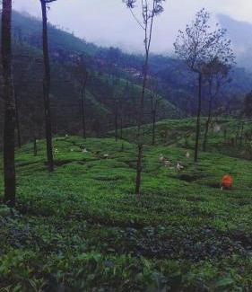 Kelagur House | Meghagiri homestay