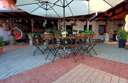 Mehadica House | Mehadica House