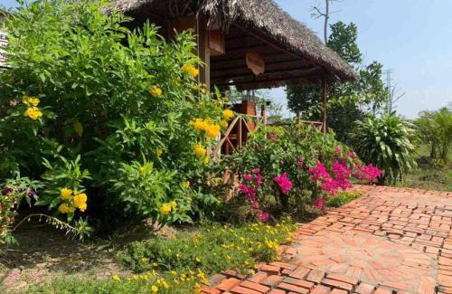 Phong Dien House | Mekong Cozy Travel Breakfast TwoBoatTours Included for 2nights