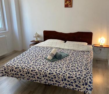 Ocna Sibiului Apartment | Melinte Maria