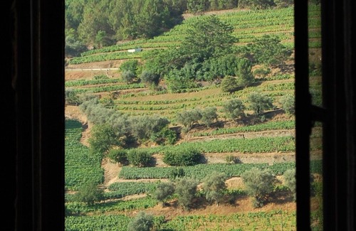 Bomfim House | Mendiz House - Douro
