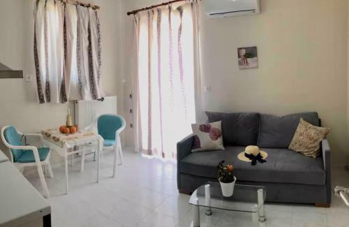 Pigianos Kampos Apartment | Menelaos Apartments