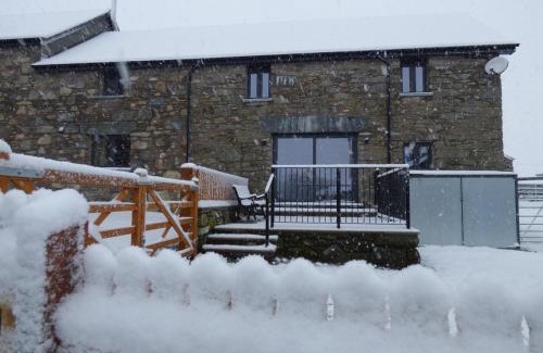 Cwmtirmynach House | Merddwr