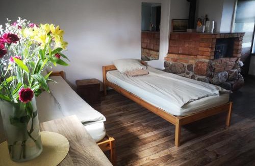 Alytus county Bed & Breakfast | Merkinės viensodis