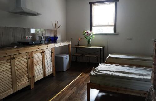 Alytus county Bed & Breakfast | Merkinės viensodis