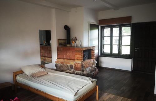 Alytus county Bed & Breakfast | Merkinės viensodis