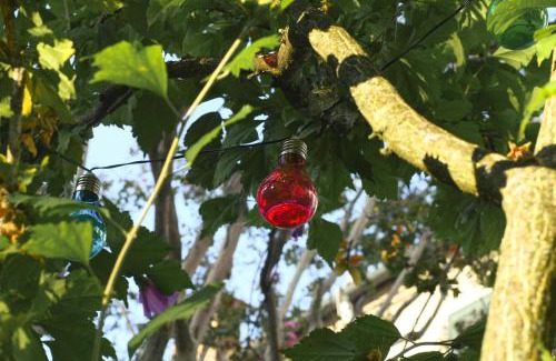 Ferrara Bed & Breakfast | Merli's Nest