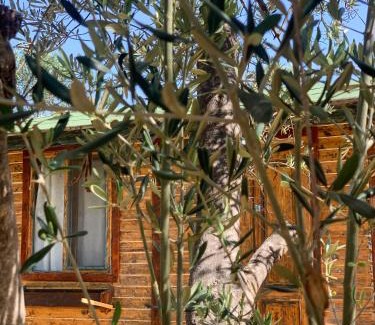 Ayvacik Bed & Breakfast | Mesken Bungalow
