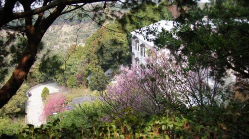 Fengyuan District Bed & Breakfast | Meteor Garden B&B