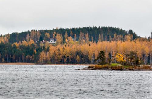 Puumala House | Metsäsydän huonemajoitus