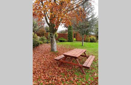 Rathvilly Apartment | Mews with garden views