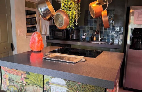 Buena Vista House | Miami Wellness Sanctuary w/Sauna, Cold Plunge & Hot Tub