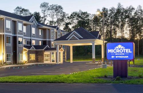 Amsterdam Hotel | Microtel Inn & Suites by Wyndham Amsterdam NY