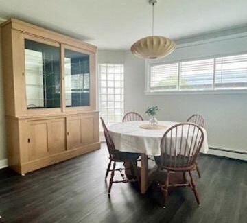 Hibbing Apartment | Mid-century Vintage Apartment
