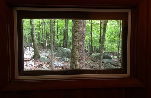 New Paltz House | Midcentury Modern Cabin Home in the Woods- Under 2 Hrs From NYC!