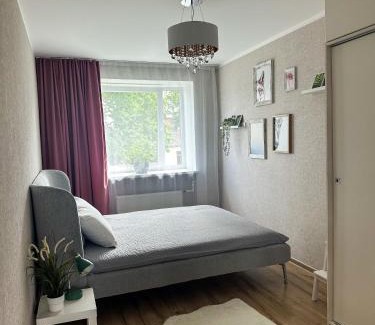 Aluksne Apartment | Middle street apartment
