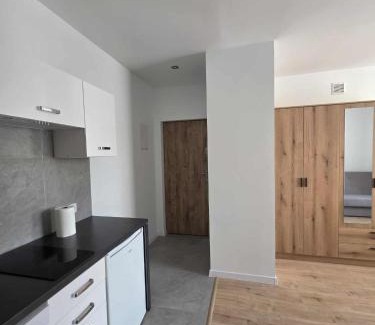 Krasnik Apartment | Mieszkanie dla dwojga Niepodległości