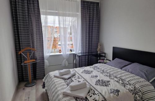 Visaginas Apartment | MilaAna