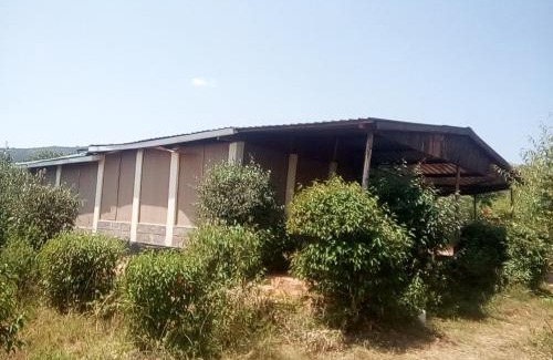 Ololaimutiek Bed & Breakfast | Miliki Maasai Mara