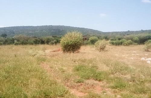 Ololaimutiek Bed & Breakfast | Miliki Maasai Mara