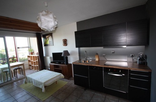 Mimizan-Plage Apartment | Mimizan Plage: Duplex Apartment, Nice view of the current, Quiet, WIFI