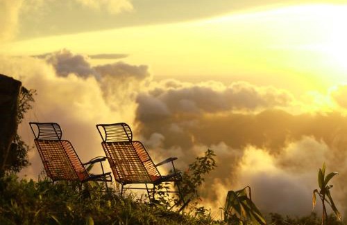 Minca Bed & Breakfast | Minca Sintropia - Sustainable Lodge & Organic Coffee Finca