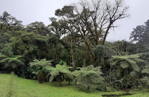 Mindo Hotel | Mindo Loma bird lodge