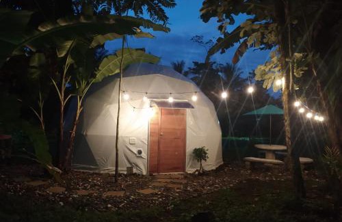 Guayabo Other | Mineral River Eco Dome