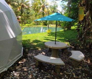 Guayabo Other | Mineral River Eco Dome