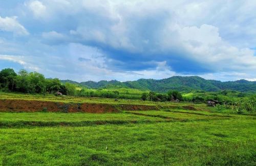 Wang Chin House | Mint Organic Farm Stay, Wangchin,Phrae